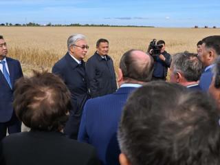 Президент: Ауыл шаруашылығы — біз үшін табысты сала