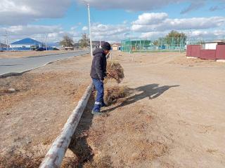 &quot;ТАЗА ҚАЗАҚСТАН&quot; АКЦИЯСЫ АЯСЫНДА ТАЗАЛЫҚ ЖҰМЫСТАРЫ ЖАЛҒАСУДА