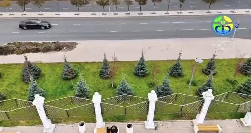 Атырауда демеушілердің қолдауымен сәндік ағаштар отырғызылуда